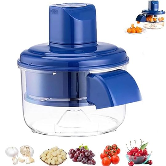 Electric Fruit & Garlic Peeler Machine