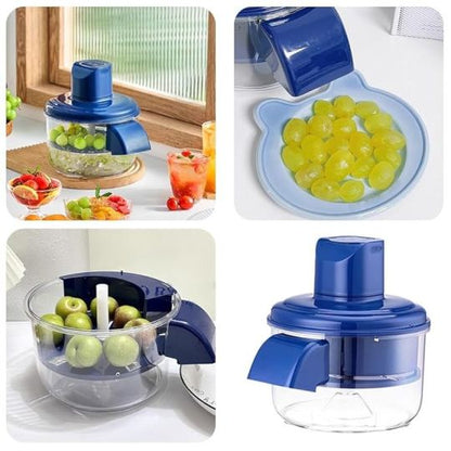 Electric Fruit & Garlic Peeler Machine packaging